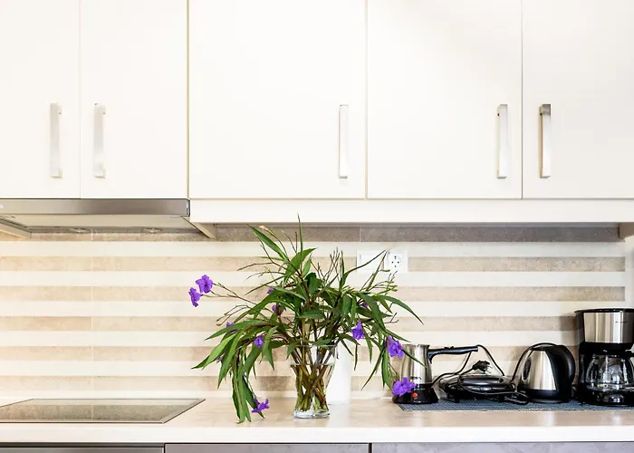 Afroditi's Delux * モネンバシア